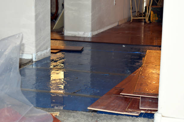 Professional Flood Cleanup technician working in Manchester, WA